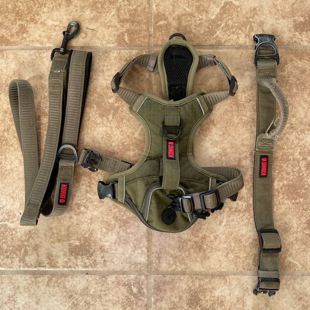 Dog harness